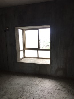 鼎盛时代